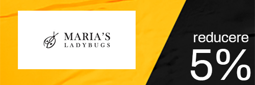 Maria's Ladybug